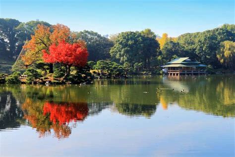 日式庭院石頭|日本各地的日式庭園與禪宗庭園 